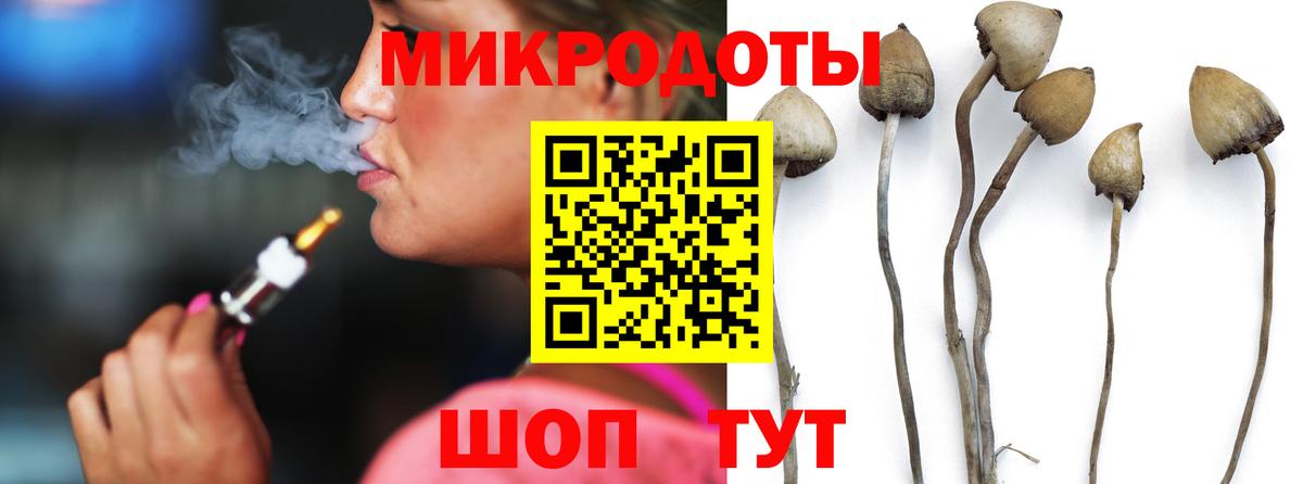 Псилоцибиновые грибы MAGIC MUSHROOMS  Галлюциногенные грибы Psilocybine cubensis  Вход с VPN  Нарткала 